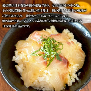 天然真鯛の漬け丼セット 50g×10パック （ 宇和島風 鯛めし 鯛茶漬け