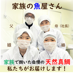 【7月以降発送】（天然真鯛 漬け丼セット 50g × 10パック 鯛めし 宇和島 風 冷凍 鯛 小分け 漬け丼 鯛 国産 鯛 使用 漬け丼 海鮮丼 鯛 漬け丼 惣菜 漬け丼 鯛めし 漬け丼 海鮮 鯛めし 漬け丼 鯛茶漬け 漬け丼 鯛めし 鯛漬け 愛媛 松山 グルメ 魚 鯛刺身 鯛めし ごはんのお供 簡単調理のお惣菜【AIS001_07】
