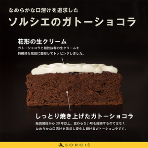 【着日指定可】ガトーショコラクラシック5号ガトーショコラ【IT0071】