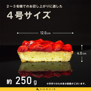 【着日指定可】苺のコンポート タルトケーキ 4号 直径12cm 2人～3人分 約250g | デザート ケーキ お菓子 洋菓子 冷凍 着日指定 お誕生日 誕生日 ギフト お祝い 愛媛県 松山市【IT0101】