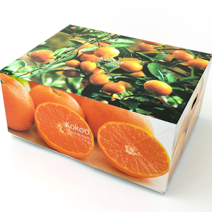 【先行予約】【 2025年12月中旬から発送予定 】 温州みかん 「 南柑20号 」＜ 秀品 ＞ 約3kg 【 ギフトBOX 入り 】【KK3041】