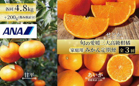 【2025年12月上旬から発送】【定期便 全3回】旬の愛媛三大高級柑橘 家庭用 愛果28号 せとか 甘平 | 柑橘 みかん 果物 くだもの フルーツ おすすめ 高級 人気 お取り寄せ グルメ ギフト 期間限定 数量限定 ご当地 愛媛県 松山市【SU0082】