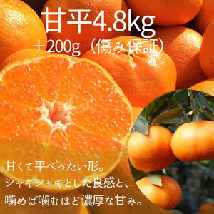 【2025年12月上旬から発送】【定期便 全3回】旬の愛媛三大高級柑橘 家庭用 愛果28号 せとか 甘平 | 柑橘 みかん 果物 くだもの フルーツ おすすめ 高級 人気 お取り寄せ グルメ ギフト 期間限定 数量限定 ご当地 愛媛県 松山市【SU0082】