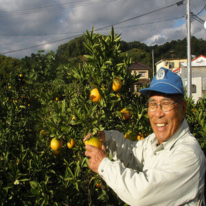 【2025年12月上旬から発送】【定期便 全3回】旬の愛媛三大高級柑橘 家庭用 愛果28号 せとか 甘平 | 柑橘 みかん 果物 くだもの フルーツ おすすめ 高級 人気 お取り寄せ グルメ ギフト 期間限定 数量限定 ご当地 愛媛県 松山市【SU0082】