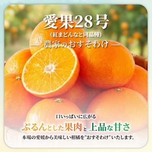 【紅まどんなと同品種】愛果28号  化粧箱 8玉～12玉 まどんな 【RNK0012】