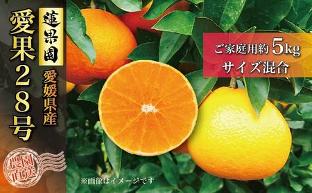 先行予約】2024年12月中旬から発送 あいか ご家庭用 5kg 愛果28号