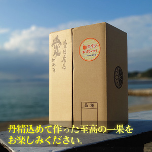 【3月上旬から発送】 せとか B品 家庭用5kg |みかん 蜜柑 柑橘 甘い 高級 先行 予約 果物 フルーツ おすすめ 人気 愛媛 松山 【RNK0051】