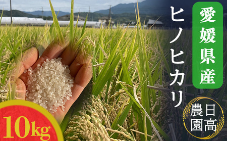 新米】令和5年産！愛媛県産ヒノヒカリ 10kg 産地直送 国産 新米