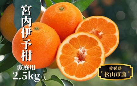 【宮内伊予柑】家庭用 約2.5kg ＜2025年1月末?3月中旬頃発送＞柑橘 くだもの フルーツ 愛みかん 愛媛みかん ミカン フルーツ 果物 みかん 柑橘 甘いみかん【PT035_x】