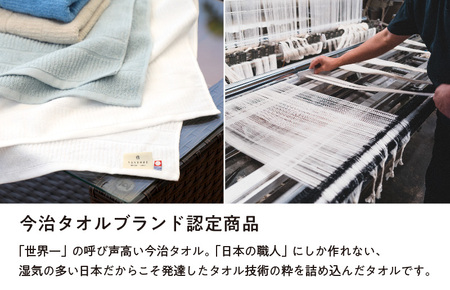 (今治タオルブランド認定)とにかく乾きやすいタオル バスタオル 3枚セット(ライトグレー)【I000410LGY】