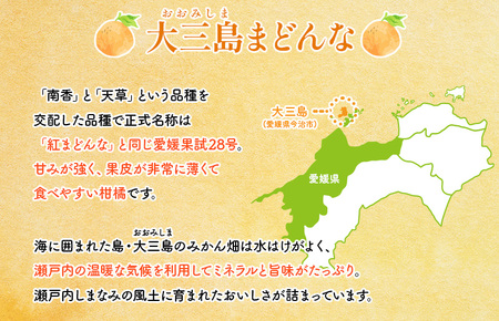 【先行予約】【数量限定】【2026年1月中旬より順次発送】ホリ田ヤ 大三島まどんな 2.5キロ【KB00810】