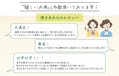 【先行予約！】ホリ田ヤ 甘平 サイズばら 2.5キロ  柑橘王国・愛媛が誇る甘平！ 愛媛県 今治産 国産 高級フルーツ みかん 柑橘 フルーツ 果物 かんぺい 愛媛みかん 高級 美味しい フルーツ贈り物 甘平 国産甘平 美味しい柑橘 果物 かんぺい カンペイ みかん 人気の甘平 くだもの甘平 果物甘平 【2025年2月10日より順次発送】 [KB00820]　12月20日以降のお申込分の発送は翌年2月下旬以降の予定