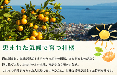 【先行予約！】ホリ田ヤ 甘平 サイズばら 2.5キロ  柑橘王国・愛媛が誇る甘平！ 愛媛県 今治産 国産 高級フルーツ みかん 柑橘 フルーツ 果物 かんぺい 愛媛みかん 高級 美味しい フルーツ贈り物 甘平 国産甘平 美味しい柑橘 果物 かんぺい カンペイ みかん 人気の甘平 くだもの甘平 果物甘平 【2025年2月10日より順次発送】 [KB00820]　12月20日以降のお申込分の発送は翌年2月下旬以降の予定