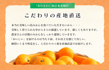 【先行予約！】ホリ田ヤ 甘平 サイズばら 2.5キロ  柑橘王国・愛媛が誇る甘平！ 愛媛県 今治産 国産 高級フルーツ みかん 柑橘 フルーツ 果物 かんぺい 愛媛みかん 高級 美味しい フルーツ贈り物 甘平 国産甘平 美味しい柑橘 果物 かんぺい カンペイ みかん 人気の甘平 くだもの甘平 果物甘平 【2025年2月10日より順次発送】 [KB00820]　12月20日以降のお申込分の発送は翌年2月下旬以降の予定