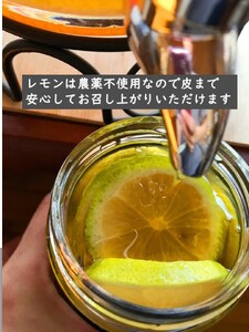 【数量限定】はちみつ450g 1瓶 無農薬レモン4~5個セット Kura-Kura農園[K001350]