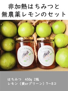 【数量限定】はちみつ450g 2瓶 無農薬レモン7~8個セット Kura-Kura農園[K001360]