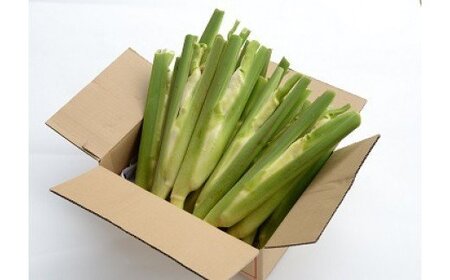 【先行予約】マコモタケ 10本 10月上旬以降発送 季節限定 今治産 森のともだち農園 野菜 [LB00620]