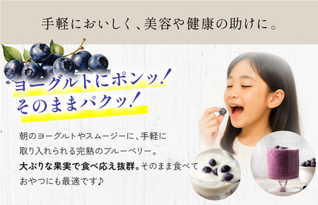 【先行予約】今治産ブルーベリー「媛ベリー」1kg 2026年7月下旬～8月下旬発送予定（森のともだち農園玉川町） 【LC00880】フルーツ　果物