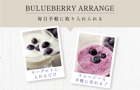 【先行予約】今治産ブルーベリー「媛ベリー」1kg 2026年7月下旬～8月下旬発送予定（森のともだち農園玉川町） 【LC00880】フルーツ　果物