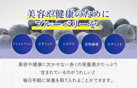 【先行予約】今治産ブルーベリー「媛ベリー」1kg 2026年7月下旬～8月下旬発送予定（森のともだち農園玉川町） 【LC00880】フルーツ　果物