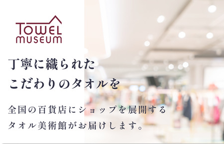 カラーパレット　バスタオル1枚（ライトグレー） タオル美術館 [I001730BT1LGY]