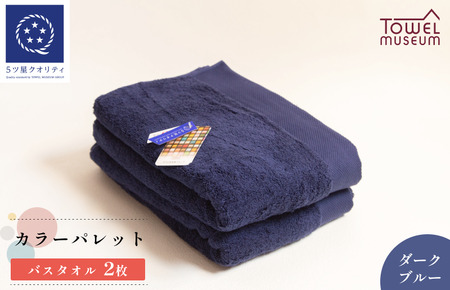 カラーパレット　バスタオル2枚セット（ダークブルー） タオル美術館 [I001730BT2DB]