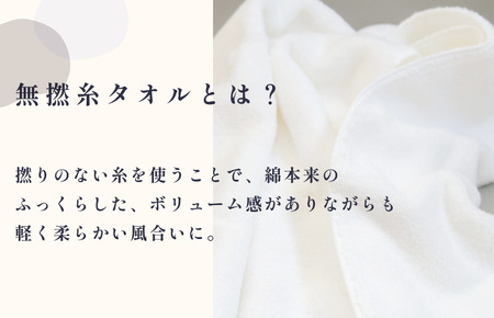 伊予ひめ 晴-はれ-　バスタオル2枚セット（ホワイト） タオル美術館 [I001770BT2W]