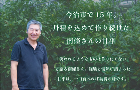 【数量限定】【先行予約】マルハ果樹園　甘平　4L～3L　8～10玉　ハウス栽培　＼超売れ筋商品／  柑橘王国・愛媛が誇る甘平！ 愛媛県 今治産　国産 高級フルーツ みかん 柑橘 フルーツ 果物　贈答用 かんぺい フルーツギフト 愛媛みかん 高級 美味しい フルーツ贈り物 甘平 国産甘平 美味しい柑橘 果物 かんぺい カンペイ みかん 人気の甘平 ギフト 化粧箱 くだもの甘平 果物甘平 【化粧箱付き】【1月6日から順次発送】 [K002030]