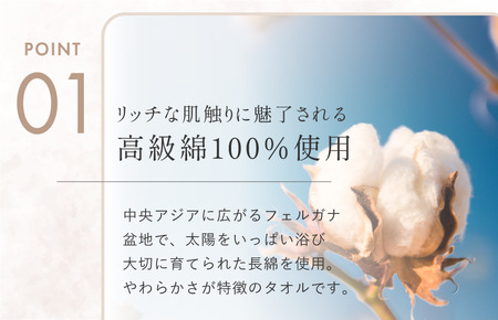 （今治タオルブランド認定）ミルトフェルガナタオルケット １枚　グレー　今治タオル タオルケット【IE05120GY】