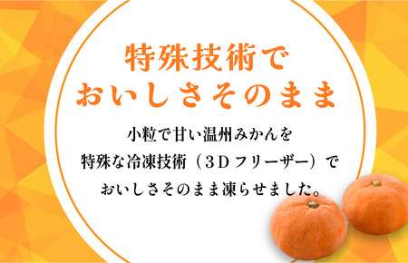 冷凍みかん(16個入り)【V001820】