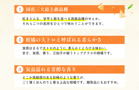 【先行予約】【数量限定】ホリ田ヤ せとか 2.5kg【K002420】