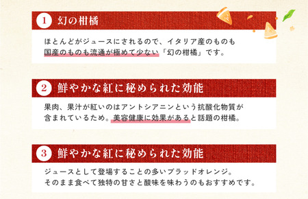【先行予約】【数量限定】ホリ田ヤ ブラッドオレンジ 2.5kg【K002440】