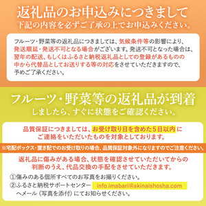 【先行予約】【数量限定】ホリ田ヤ ブラッドオレンジ 2.5kg【K002440】