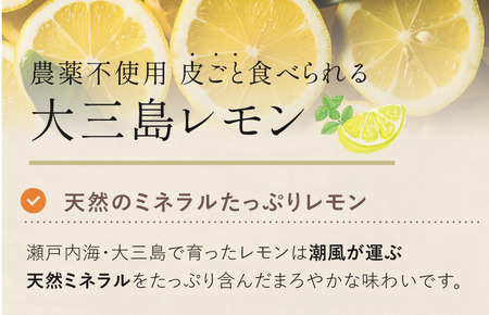 【数量限定】愛媛県今治産 ホリ田ヤの皮ごと食べられる島育ちレモン 2.5kg【K002450】