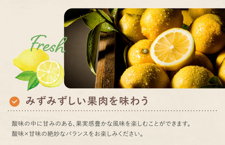 【数量限定】愛媛県今治産 ホリ田ヤの皮ごと食べられる島育ちレモン 2.5kg【K002450】