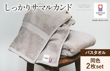 （今治タオルブランド認定）しっかりサマルカンド バスタオル2枚セット  グレー/グレー 今治タオル [ID05380GYGY]