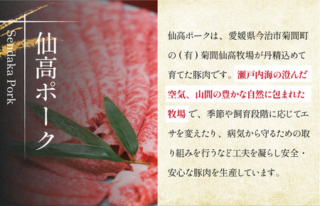 仙高ポークコロッケ　5個入り×3パック【V002250PORK】