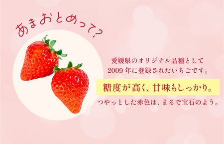 井上苺園 あまおとめ(270g×2パック)【V002540】