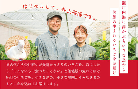 井上苺園 あまおとめ(270g×2パック)【V002540】