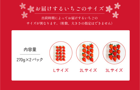 井上苺園 あまおとめ(270g×2パック)【V002540】