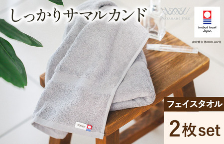 （今治タオルブランド認定）しっかりサマルカンドフェイスタオル 2枚 ブルー 今治タオル ふっくら フェイスタオル [IA05290FT2BL]