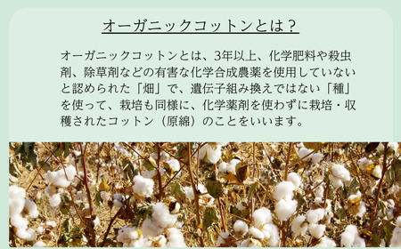 （今治タオルブランド認定）メイドインアースの純タオル［バスタオル２枚］と「からみ織り フリンジボディタオル２枚」、オリーブ石鹸「ライト2個」のセット【I002450BT2YT2SO2】