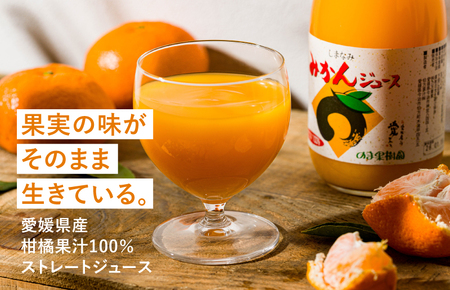 のま果樹園のしまなみみかんジュース 500ml／6本【V003020SET6】