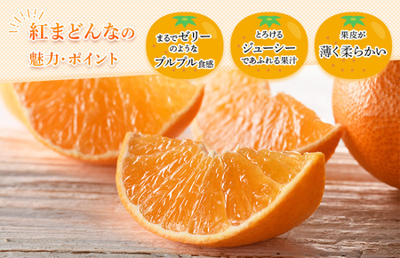 【先行予約】【ご家庭用】【数量限定】今治産 紅まどんな ５kg（Mサイズ）【K000550】11月下旬～12月末順次発送予定 JAおちいまばり 紅マドンナ 愛媛 の みかん 高級 ミカン 美味しい 高級フルーツ 今治みかん 愛媛産 自家用みかん プレゼント 贈り物 今治 農協
