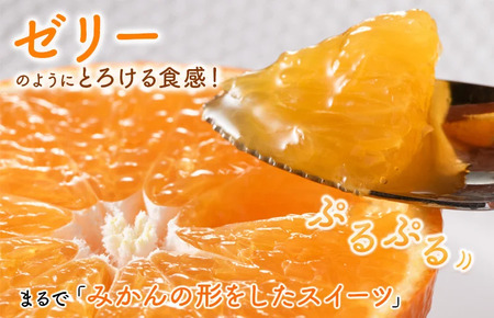 【先行予約】【ご家庭用】【数量限定】今治産 紅まどんな ５kg（Mサイズ）【K000550】11月下旬～12月末順次発送予定 JAおちいまばり 紅マドンナ 愛媛 の みかん 高級 ミカン 美味しい 高級フルーツ 今治みかん 愛媛産 自家用みかん プレゼント 贈り物 今治 農協