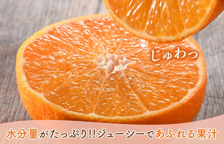 【先行予約】【ご家庭用】【数量限定】今治産 紅まどんな ５kg（Mサイズ）【K000550】11月下旬～12月末順次発送予定 JAおちいまばり 紅マドンナ 愛媛 の みかん 高級 ミカン 美味しい 高級フルーツ 今治みかん 愛媛産 自家用みかん プレゼント 贈り物 今治 農協