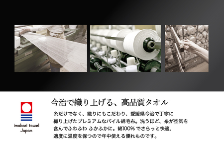 （今治タオルブランド認定）極選魔法の糸 パイル綿毛布 1枚 （ホワイト） [I002990KT1W] 
