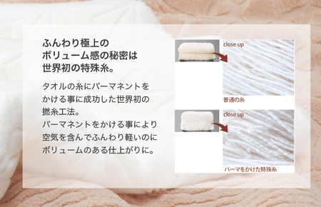 （今治タオルブランド認定）極選魔法の糸 パイル綿毛布 1枚 （ベージュ） [I002990KT1BE] 