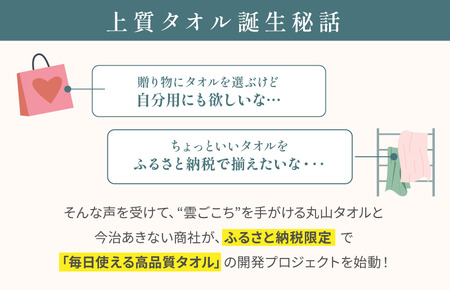 ふるさと納税限定 今治産 上質バスタオル 2枚セット（グリーン）【I003520BT2G】