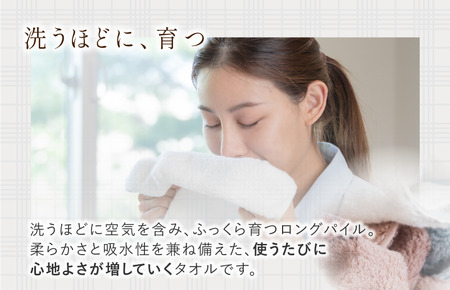 （今治タオルブランド認定品）スフレ ミニバスタオル シフォンセット2枚（モカ・ショコラ）【I003250MBT2MC】